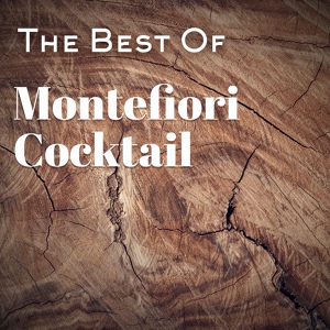 Обложка для MONTEFIORI COCKTAIL - I FEEL LOVE