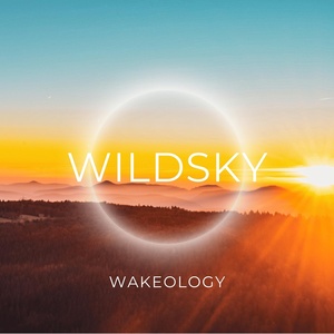 Обложка для WILDSKY - Over Easy