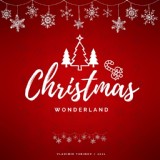 Обложка для Vladimir Takinov - Christmas Wonderland
