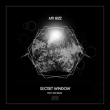 Обложка для Mr. Bizz - Secret Window