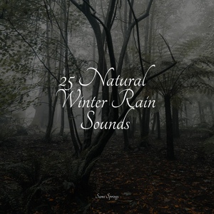 Обложка для nature & Sounds Background, Reiki Music, The Rainforest Collective - Beach, Far, Waves, Birds, Wind