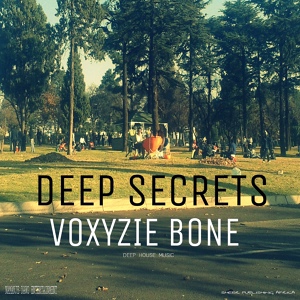 Обложка для Voxyzie Bone - Talking To The Drums