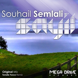 Обложка для Souhail Semlali - Sayil