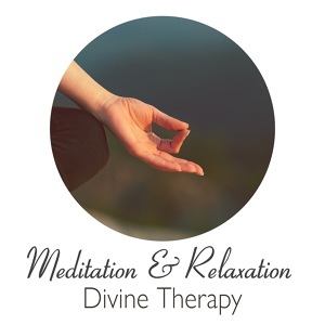Обложка для Calming Music Ensemble, Chakra Healing Music Academy, Buddhist Meditation Music Set - Visualization of Future Self