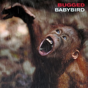 Обложка для Babybird - Wave Your Hands