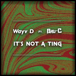 Обложка для Wayv D, Bru C - It's Not A Ting