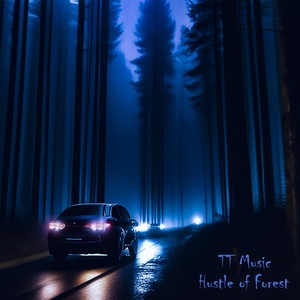 Обложка для TT Music - Hustle of Forest
