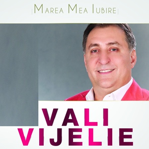 Обложка для Vali Vijelie - Povestea Sufletului Meu (feat. Ninel De La Braila)