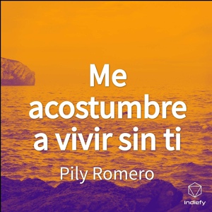 Обложка для Pily Romero - Borracho Y Solo