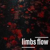 Обложка для limbs flow - say you love me