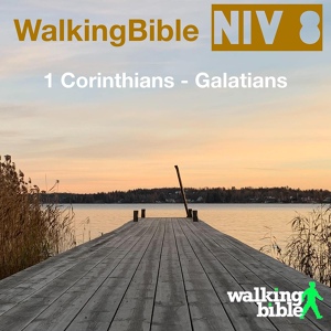 Обложка для WalkingBible, Matt Weeks - 1 Corinthians 10:23-24