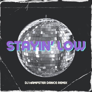 Обложка для DJ Hampster Dance - Stayin' low (DJ Hampster Dance Remix)