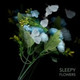 Обложка для Sleepy - Flowers