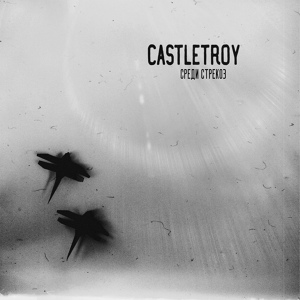 Обложка для Castletroy - Шипящий в луже карбид