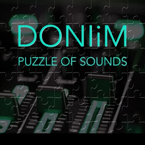 Обложка для DONIiM - Puzzle Of Sounds