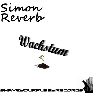 Обложка для Simon Reverb - Wahre Liebe