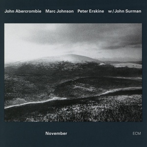 Обложка для John Abercrombie, Marc Johnson, Peter Erskine, John Surman - The Cat's Back