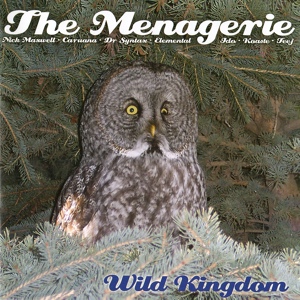 Обложка для The Menagerie, Tom Caruana, Dr Syntax, Professor Elemental, Elemental, Nick Maxwell feat. Longusto - Hit Me