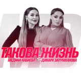 Обложка для Динара Залумханова feat. Медина Набиева - Такова жизнь