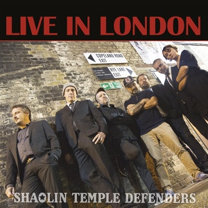Обложка для Shaolin Temple Defenders - Mr Dandy