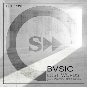 Обложка для BVSIC - Lost Word