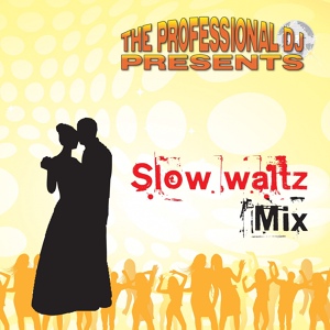 Обложка для The Professional DJ feat. Bandit - The Greatest Country Waltz Medley