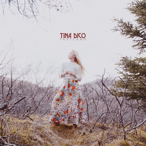 Обложка для Tina Dico - Adams House