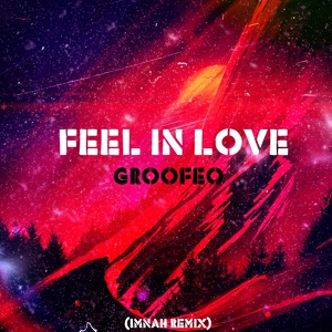 Обложка для Groofeo - Feel in Love