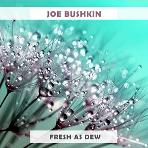 Обложка для Joe Bushkin - Fools Rush In