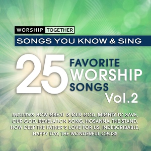 Обложка для Worship Together - How Deep The Father's Love For Us