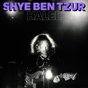 Обложка для Shye Ben Tzur - Roked