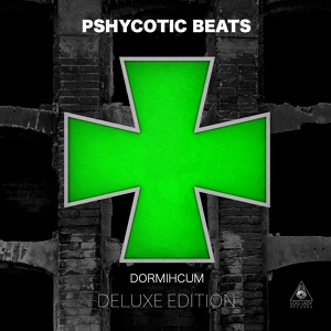 Обложка для Pshycotic Beats feat. Pati Amor - Rooms