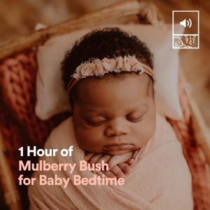 Обложка для Nursery Rhymes - 1 Hour of Mulberry Bush for Baby Bedtime, Pt. 1