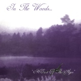 Обложка для In The Woods... - The Divinity of Wisdom