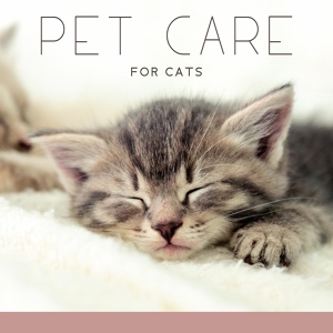 Обложка для Pet Relax Academy - Pet Care Home (Cat Sleep Music)