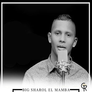 Обложка для Big Sharol feat. Novato, El Gremio Music - No Me Hagas Sufrir Final (feat. Novato & El Gremio Music)