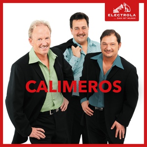 Обложка для Calimeros - Buongiorno Amore