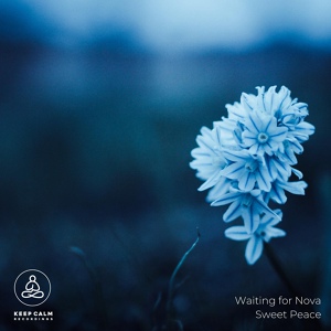 Обложка для Waiting For Nova - Sweet Peace
