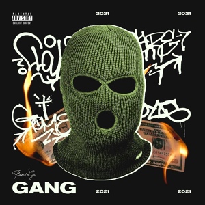 Обложка для Flam1nGo - Gang
