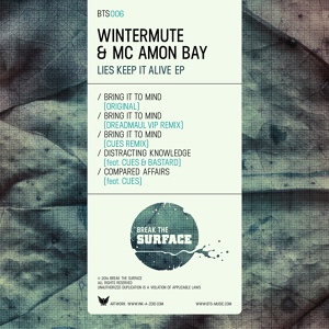 Обложка для MC Amon Bay, Wintermute - Bring It to Mind