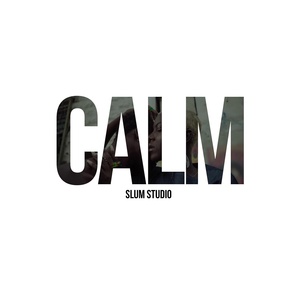 Обложка для Slum Studio - Calm