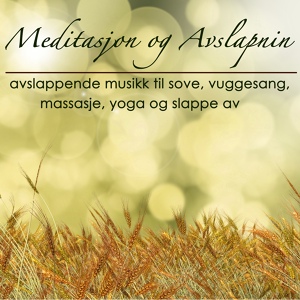 Обложка для Meditasjon - Vuggesang