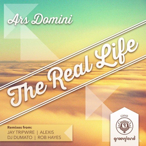 Обложка для Ars Domini - The Real Life