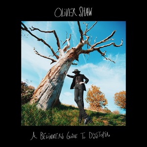 Обложка для Oliver Shaw Music - Amelie