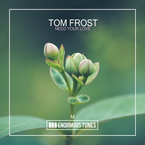 Обложка для Tom Frost - Need Your Love