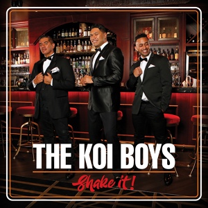 Обложка для The Koi Boys - How Many Times