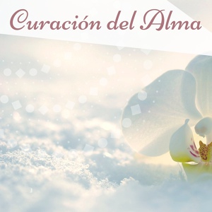 Обложка для Cuerp y Alma - Agua Loca Toca