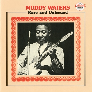 Обложка для Muddy Waters feat. Sunnyland Slim - Feel Like Goin' Home