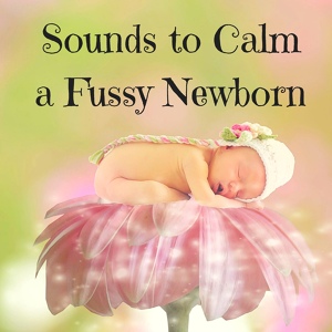 Обложка для Infants Sleep - Spiritual Melody