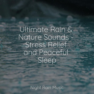 Обложка для Thunder Storms & Rain Sounds, Sonidos de lluvia para dormir, Rain and Nature - Tender Droplets